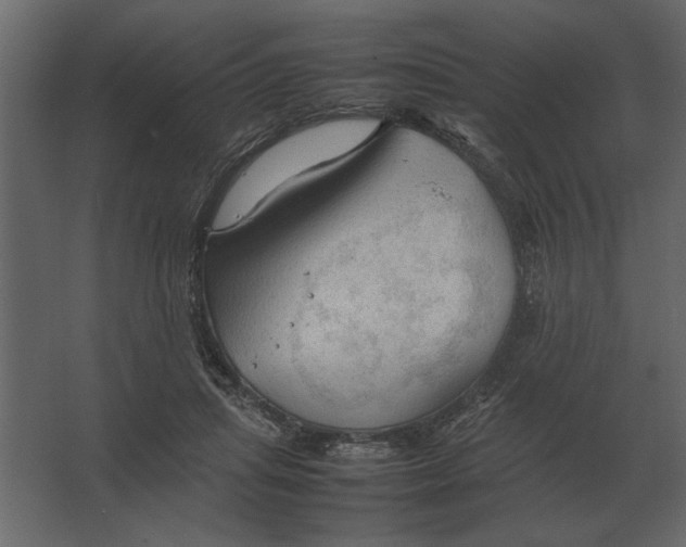 X0000067520455200604211821