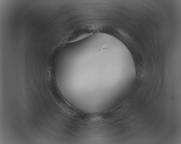 X0000067520456200604211821