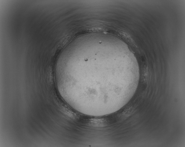 X0000067520457200604211821