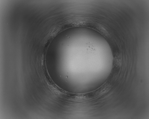 X0000067520458200604211821