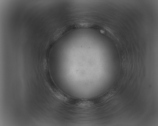 X0000067520459200604211821