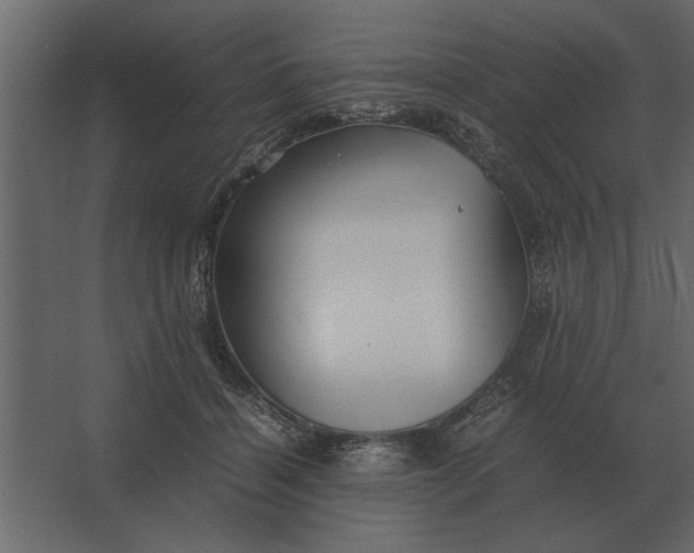 X0000067520460200604211821