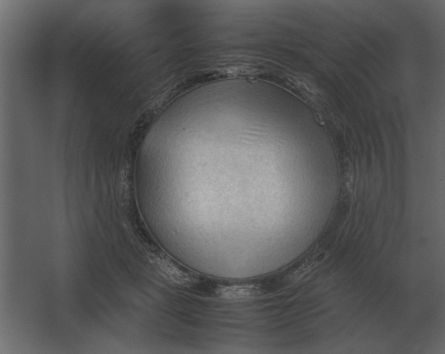 X0000067520461200604211821