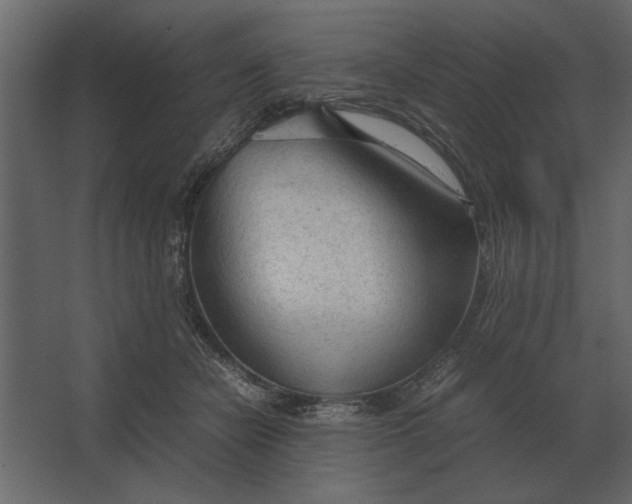 X0000067520462200604211821