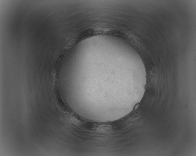 X0000067520463200604211821