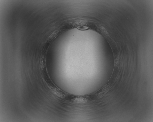 X0000067520464200604211821