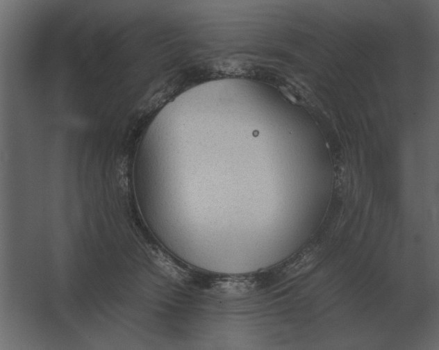 X0000067520466200604211821