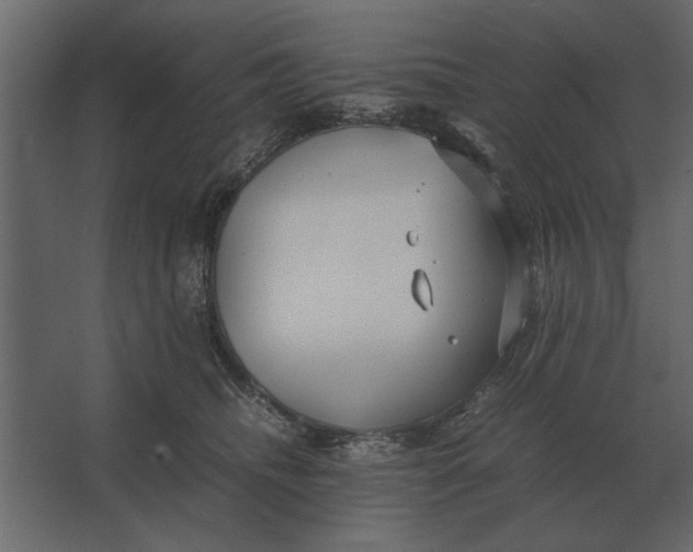 X0000067520468200604211821