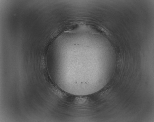 X0000067520469200604211821