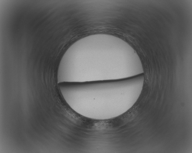 X0000067520470200604211821