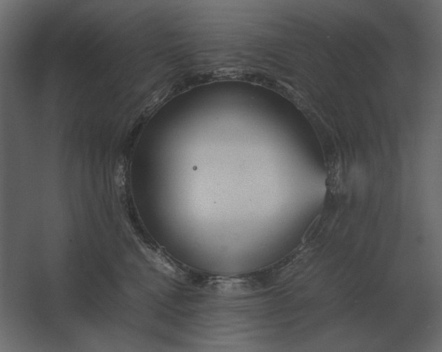 X0000067520472200604211821