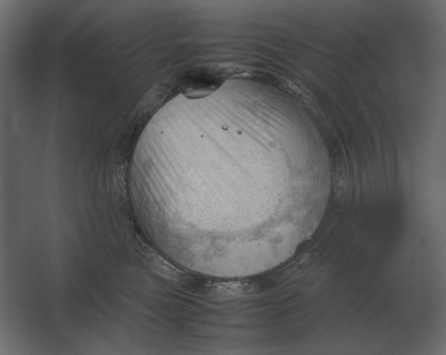 X0000067520473200604211821