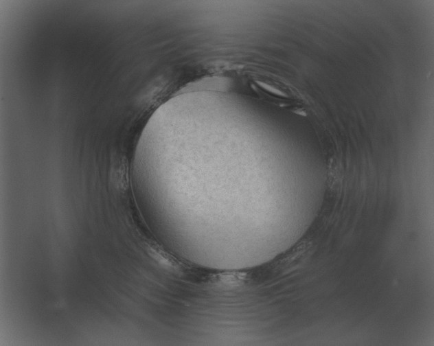 X0000067520474200604211822