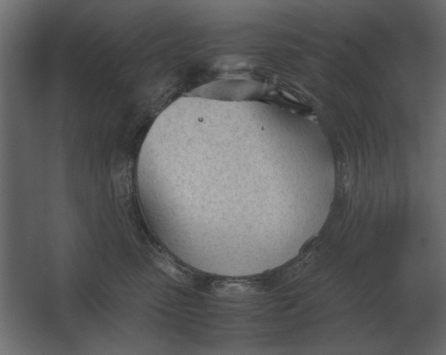 X0000067520475200604211822