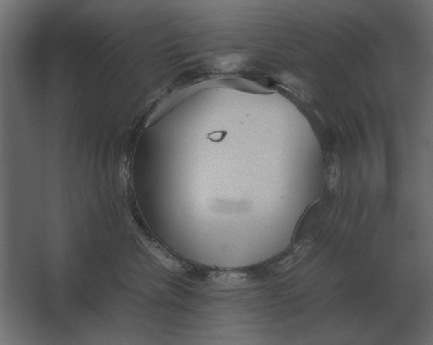 X0000067520476200604211822