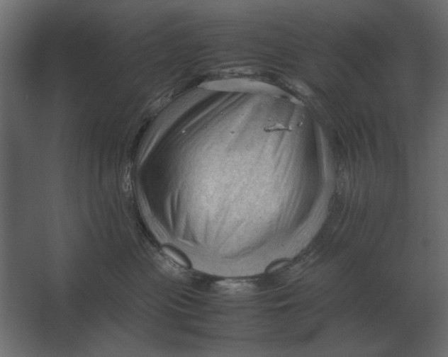 X0000067520477200604211822