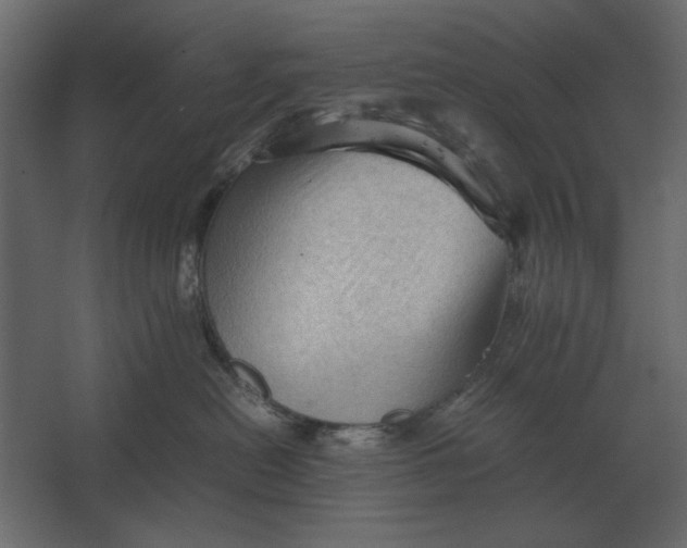 X0000067520478200604211822