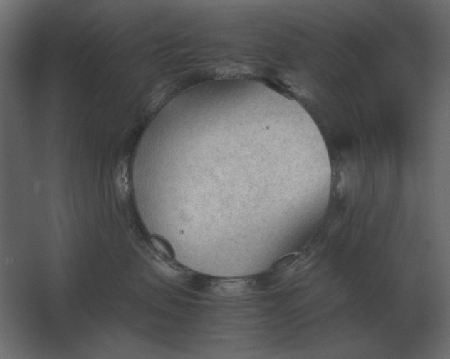 X0000067520479200604211822