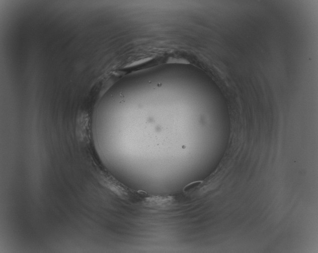 X0000067520480200604211822