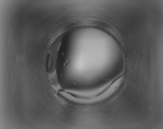 X0000067520481200604211821