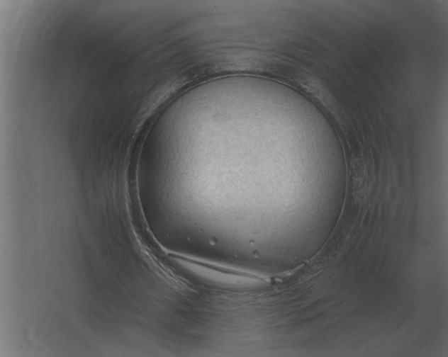 X0000067520482200604211821