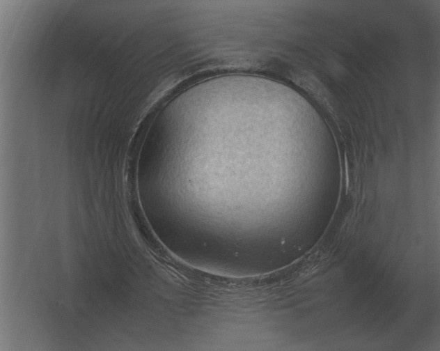 X0000067520483200604211821