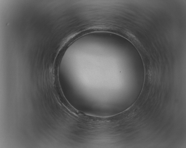 X0000067520484200604211821