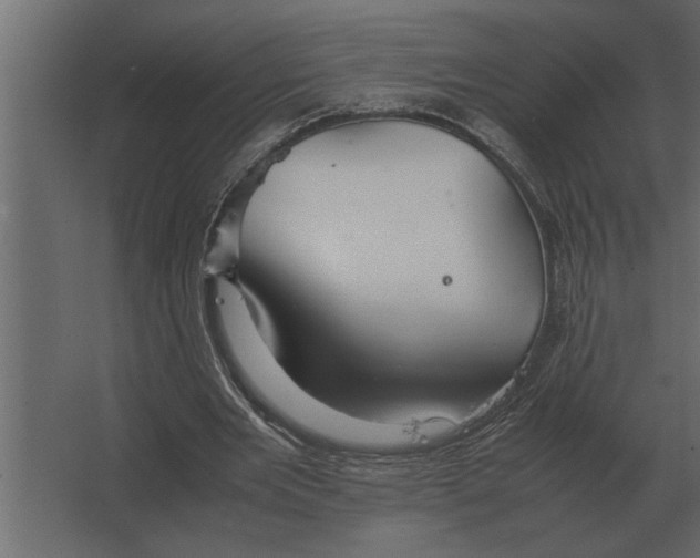 X0000067520485200604211821