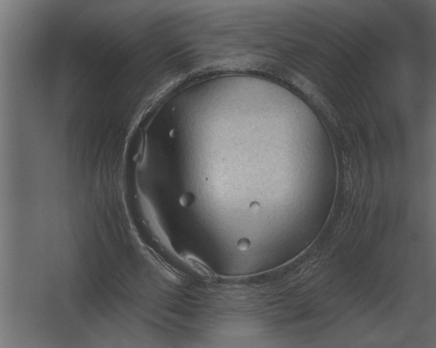 X0000067520486200604211821