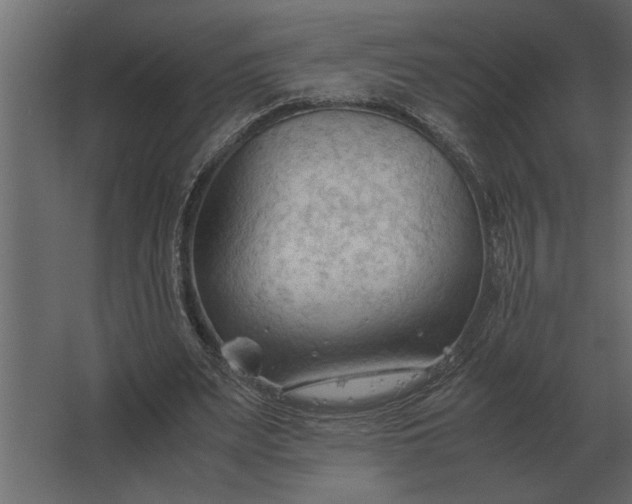 X0000067520487200604211821