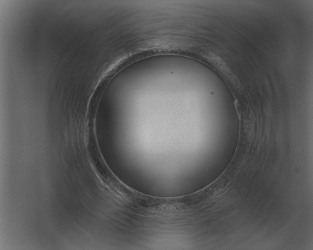 X0000067520488200604211821