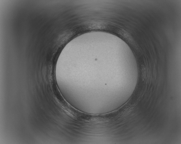 X0000067520490200604211821