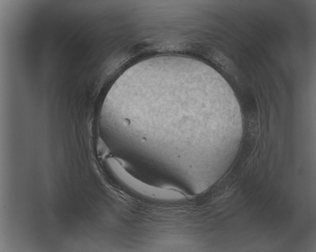 X0000067520491200604211821