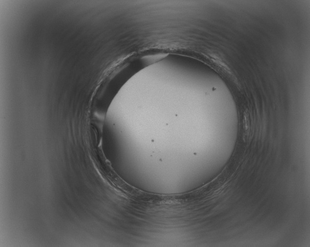 X0000067520492200604211821