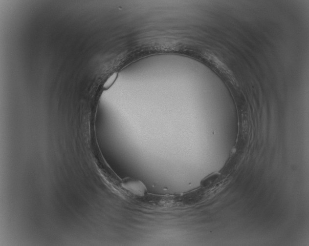 X0000067520493200604211821