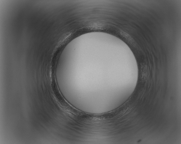 X0000067520494200604211821