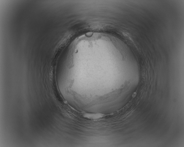 X0000067520495200604211821