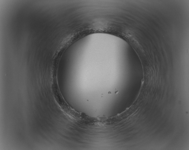 X0000067520496200604211821