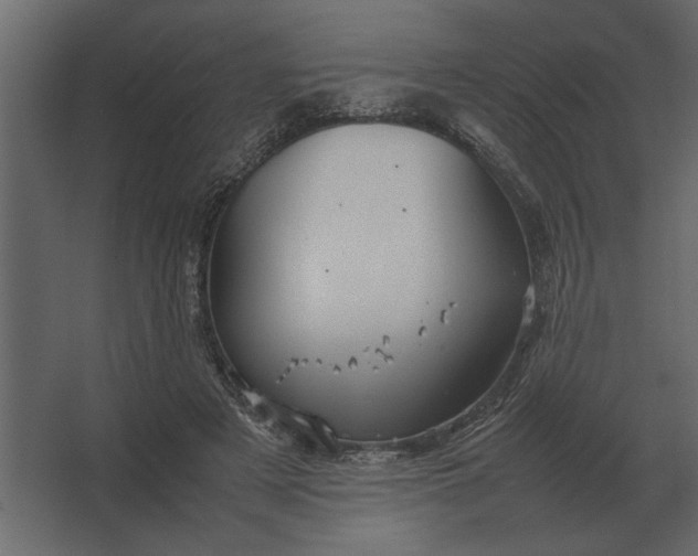 X0000067520497200604211821