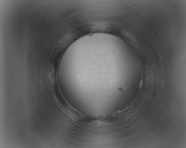 X0000067520498200604211820