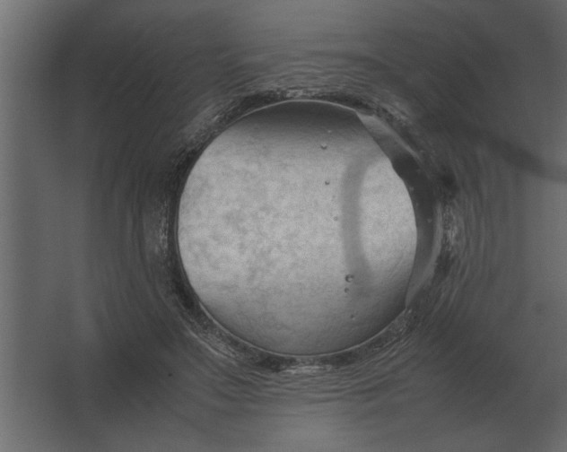 X0000067520499200604211820