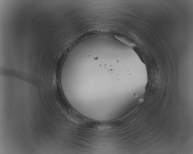 X0000067520500200604211820