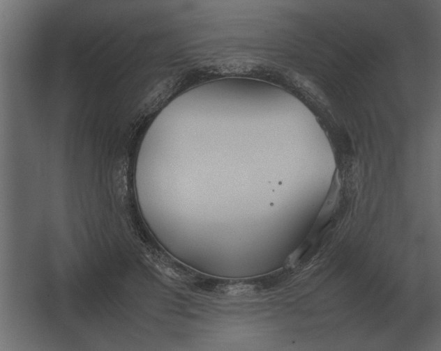 X0000067520501200604211820