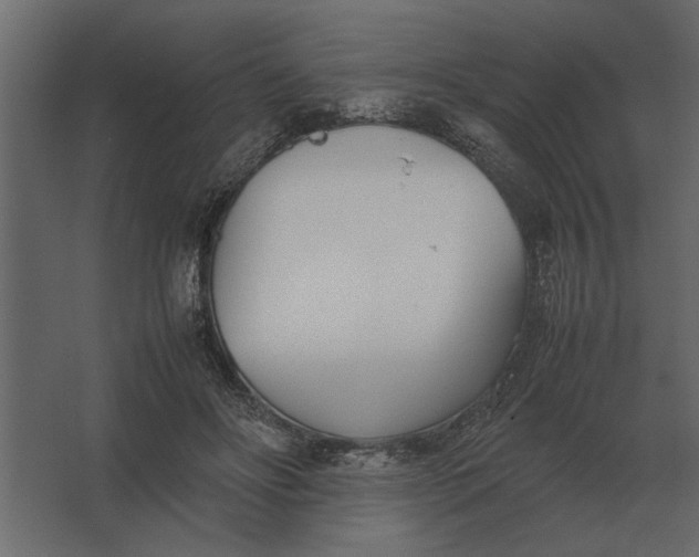 X0000067520502200604211820