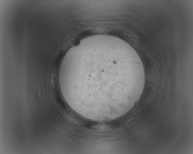 X0000067520503200604211820