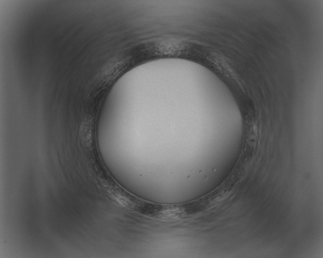 X0000067520505200604211820