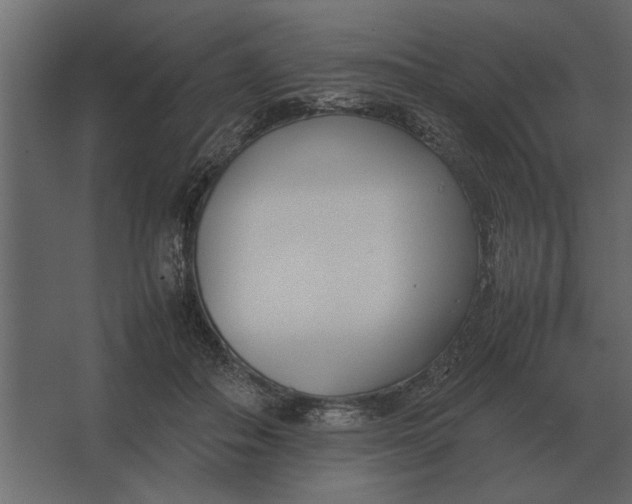 X0000067520506200604211820