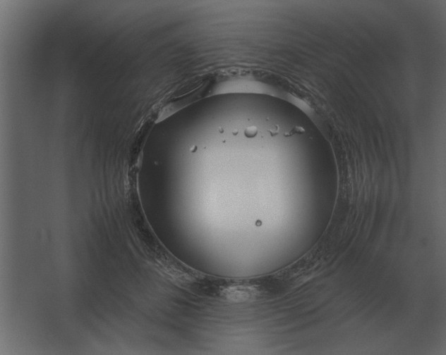 X0000067520508200604211820