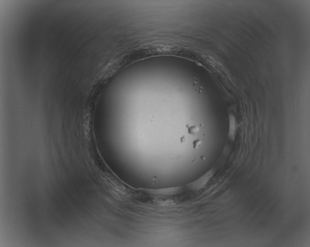 X0000067520509200604211820