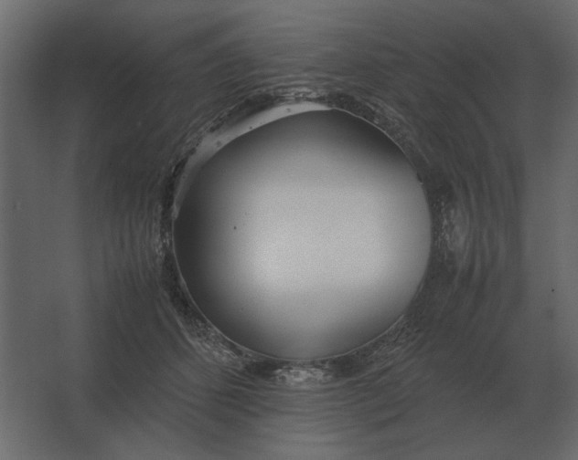 X0000067520512200604211820